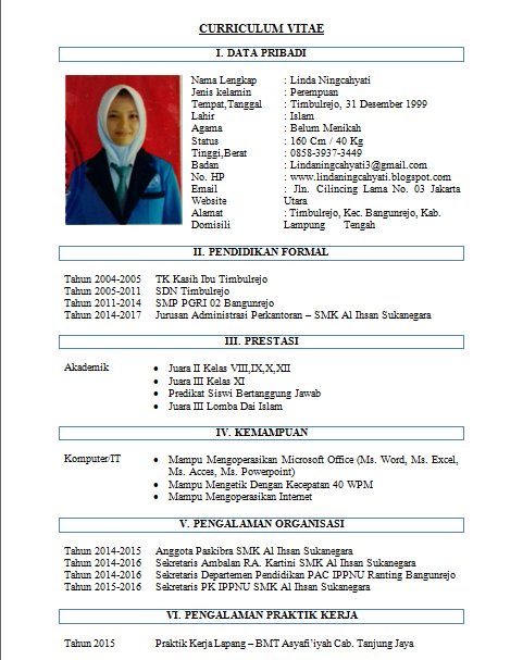 20 Contoh CV Curriculum Vitae Daftar Riwayat Hidup