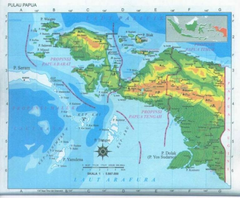  Peta  Papua Lengkap Beserta Gambar  dan Penjelasan 