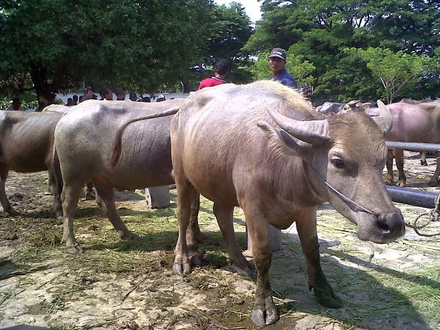 Metode Dakwah Sunan Kudus