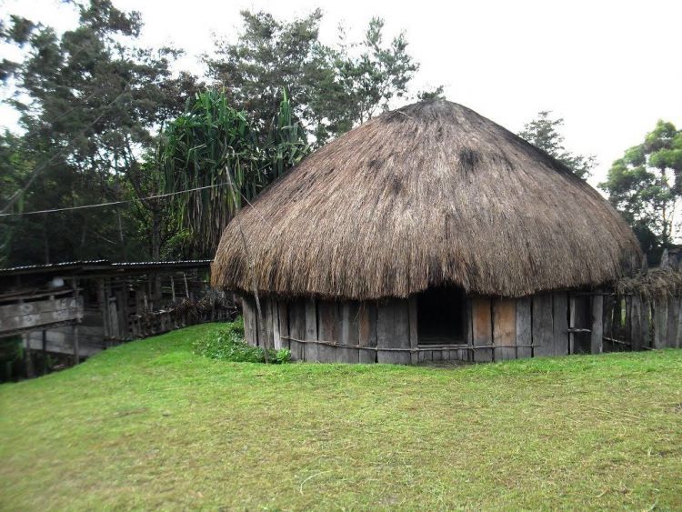 Rumah Adat Papua “Honai”