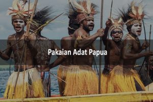 5+ Nama Pakaian Adat Papua : Contoh, Gambar, Penjelasan