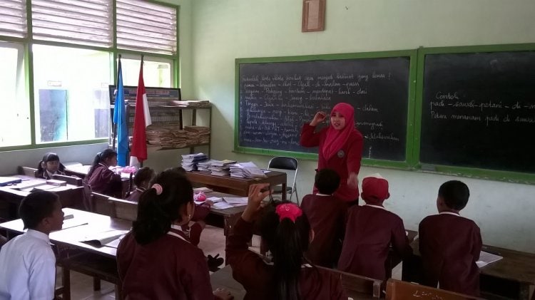 Bidang Pendidikan