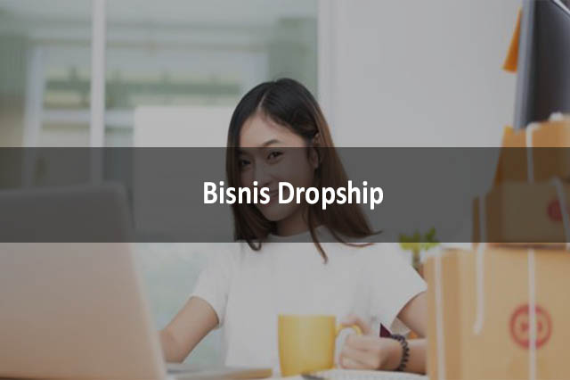 Bisnis Dropship