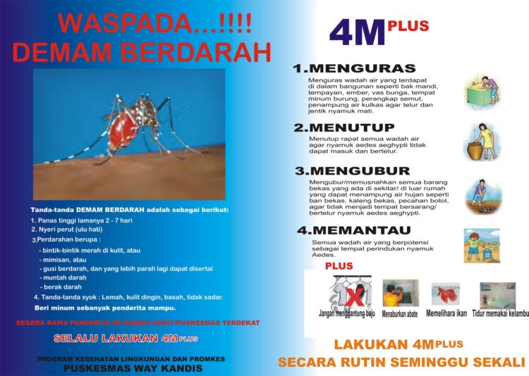 Contoh Iklan Kesehatan Untuk Mencegah DBD