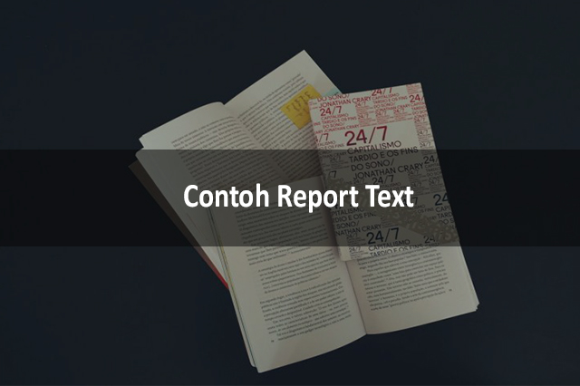 Contoh Report Text