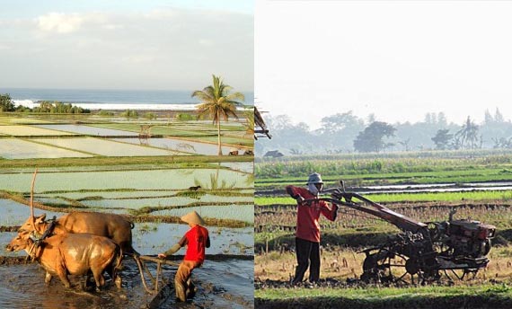 Contoh Dari Dampak Perubahan Sosial