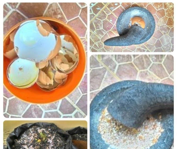 Kerajinan Tempat Lilin Dari Kulit Telur