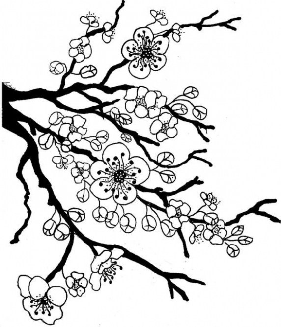 Japanese Cherry Blossom Flower Coloring Page Letscolorit.com