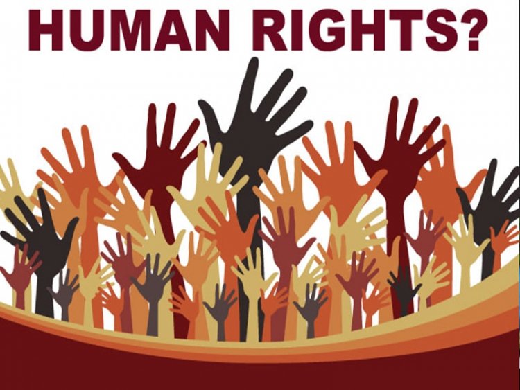 Organisasi Hak Asasi Manusia Dari Berbagai Penjuru Dunia