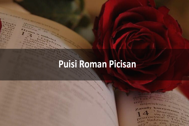 Puisi Roman Picisan