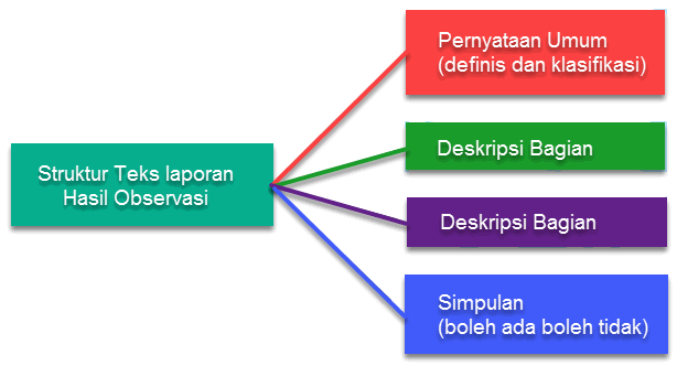 Struktur Teks Laporan Hasil Observasi